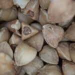 Buckwheat nutrition facts