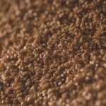 Barley nutrition facts