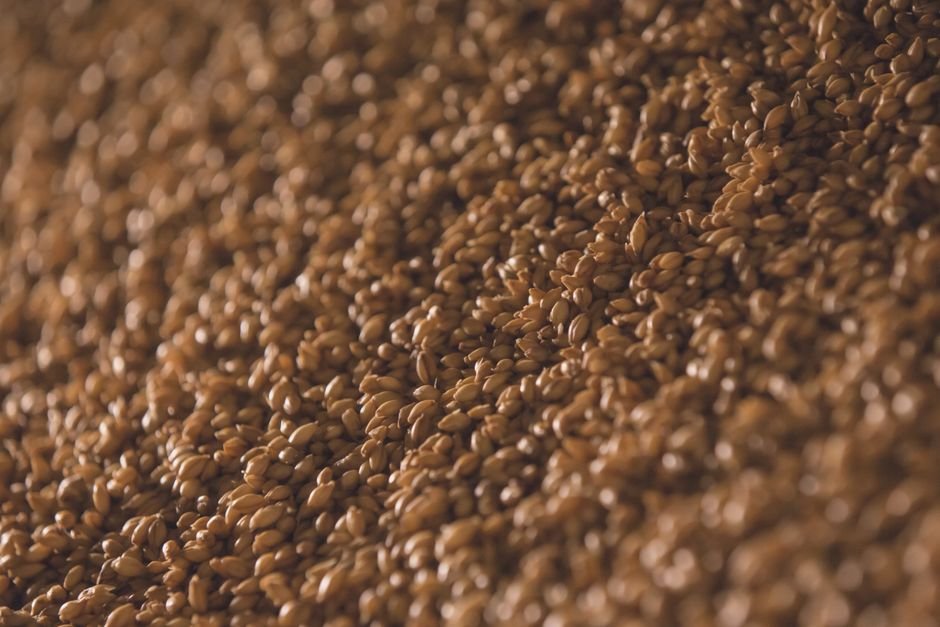 Barley nutrition facts