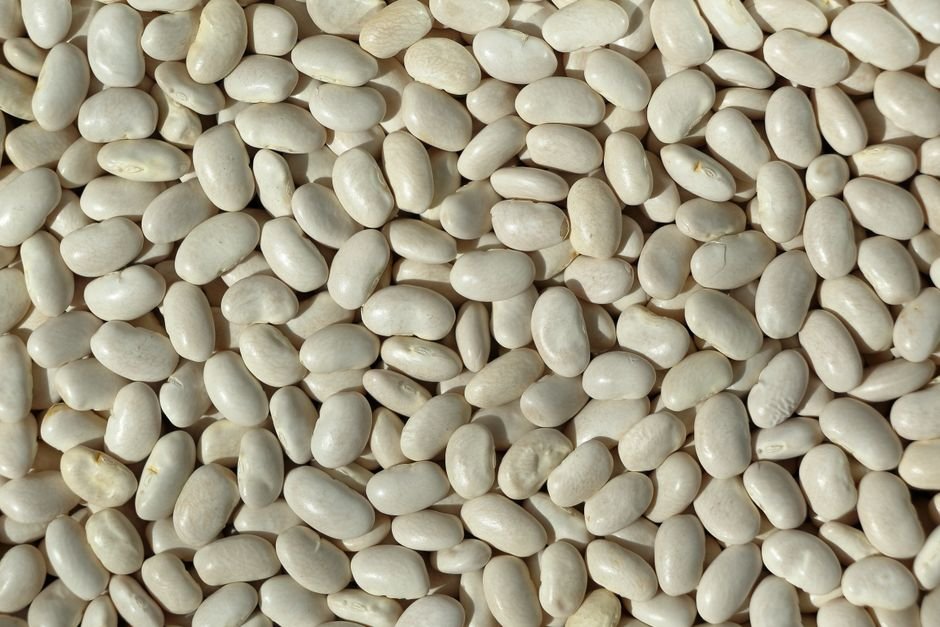 cooked navy beans