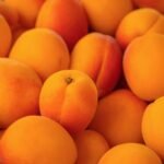 Apricot nutrition facts