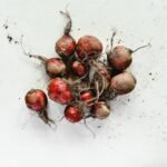 Beetroot nutrition facts