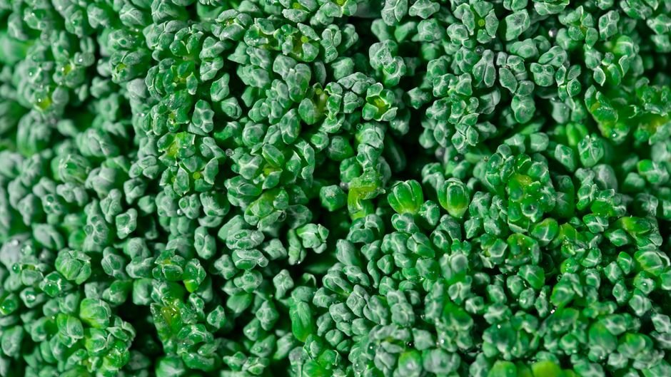 Broccoli nutrition facts