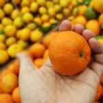Clementine nutrition facts