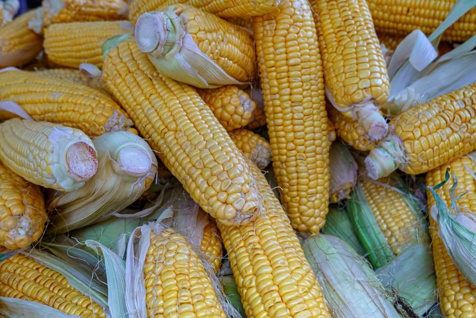 Corn nutrition facts
