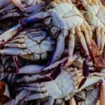 Crab nutrition facts