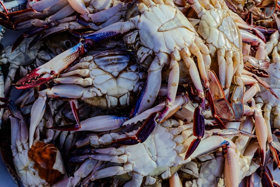 Crab nutrition facts