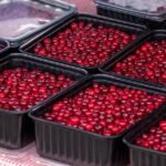 Cranberries nutrition facts