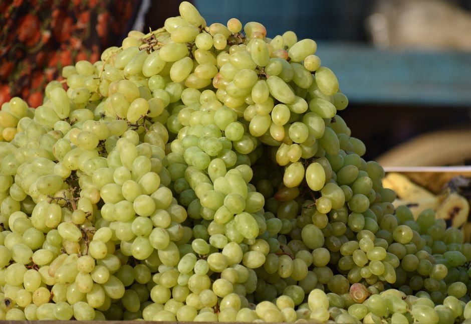 fresh grapes