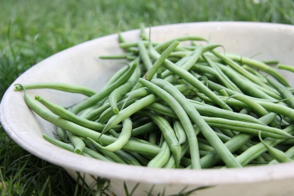 Green Beans nutrition facts