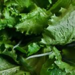 Lettuce nutrition facts