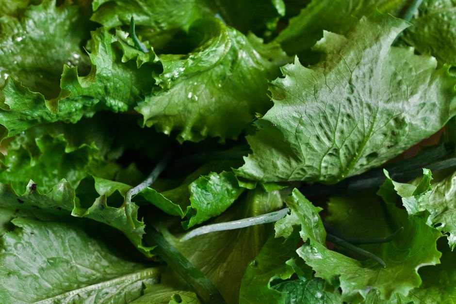 Lettuce nutrition facts
