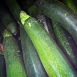 Zucchini nutrition facts