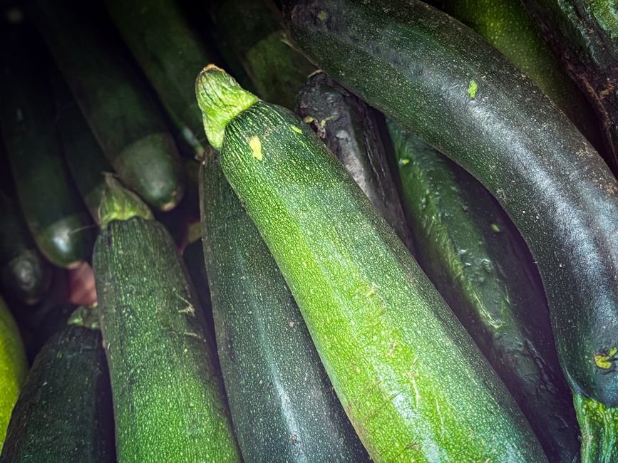Zucchini nutrition facts