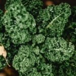 Kale nutrition facts