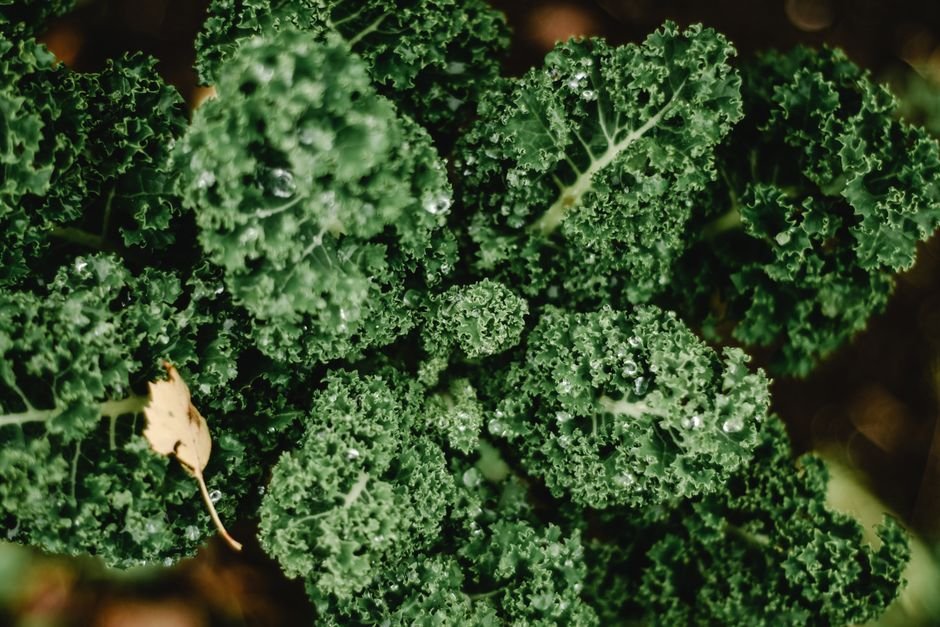 Kale nutrition facts