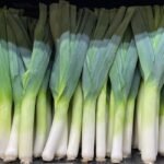 Leek nutrition facts