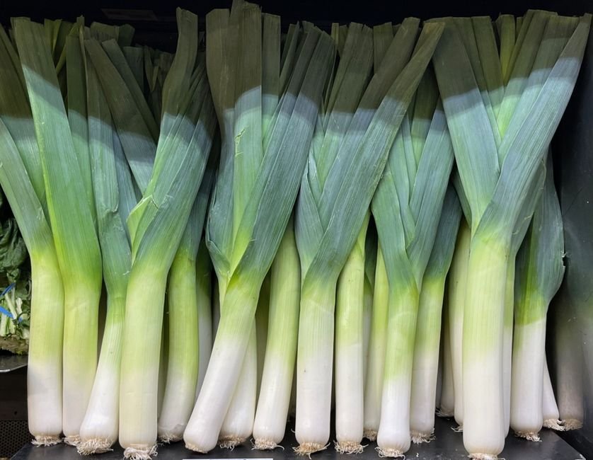 Leek nutrition facts
