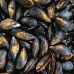 Mussels nutrition facts