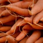 Carrots nutrition facts