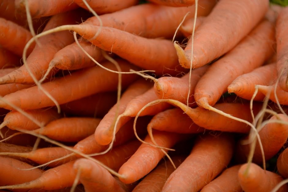 Carrots nutrition facts