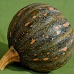 Pumpkin nutrition facts