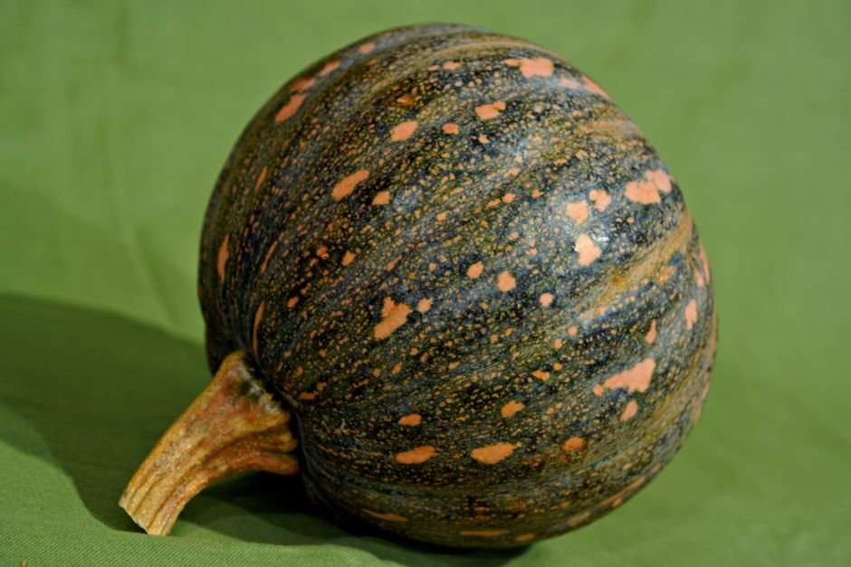 Pumpkin nutrition facts