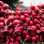 Radish nutrition facts