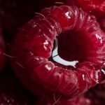 Raspberries nutrition facts