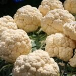 Cauliflower nutrition facts
