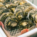 Scallops nutrition facts