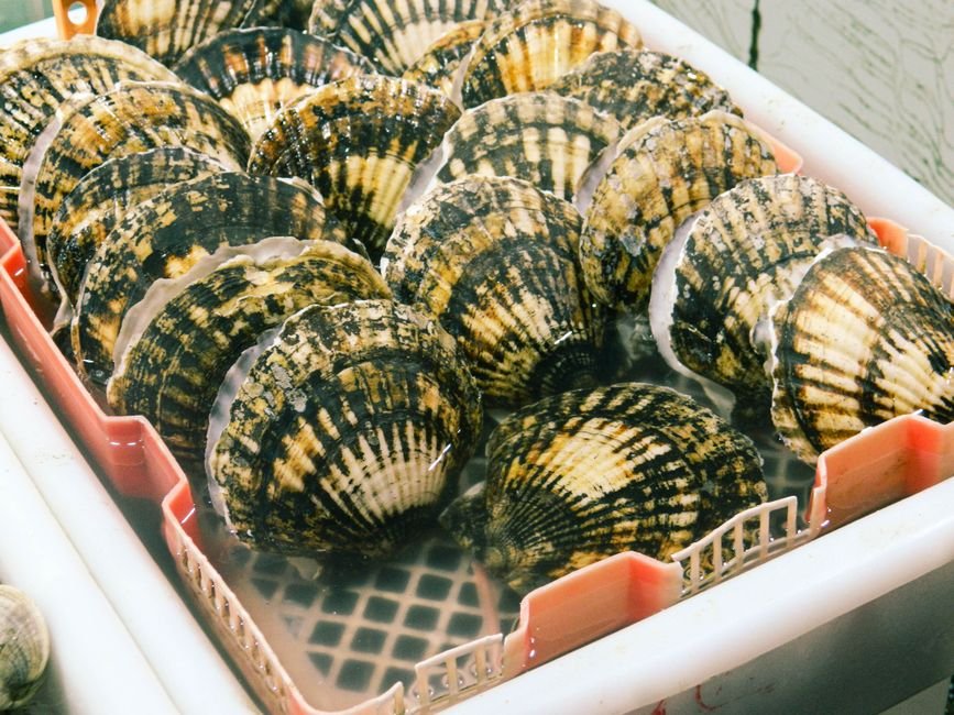 Scallops nutrition facts