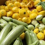 Squash nutrition facts