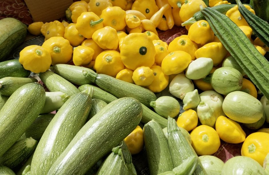Squash nutrition facts