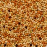 Millet nutrition facts