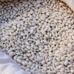Navy Beans nutrition facts