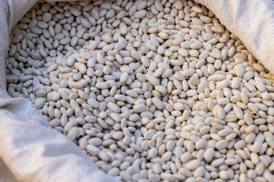 Navy Beans nutrition facts