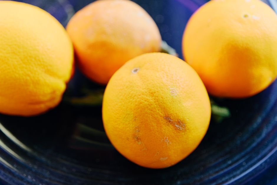 regular navel orange
