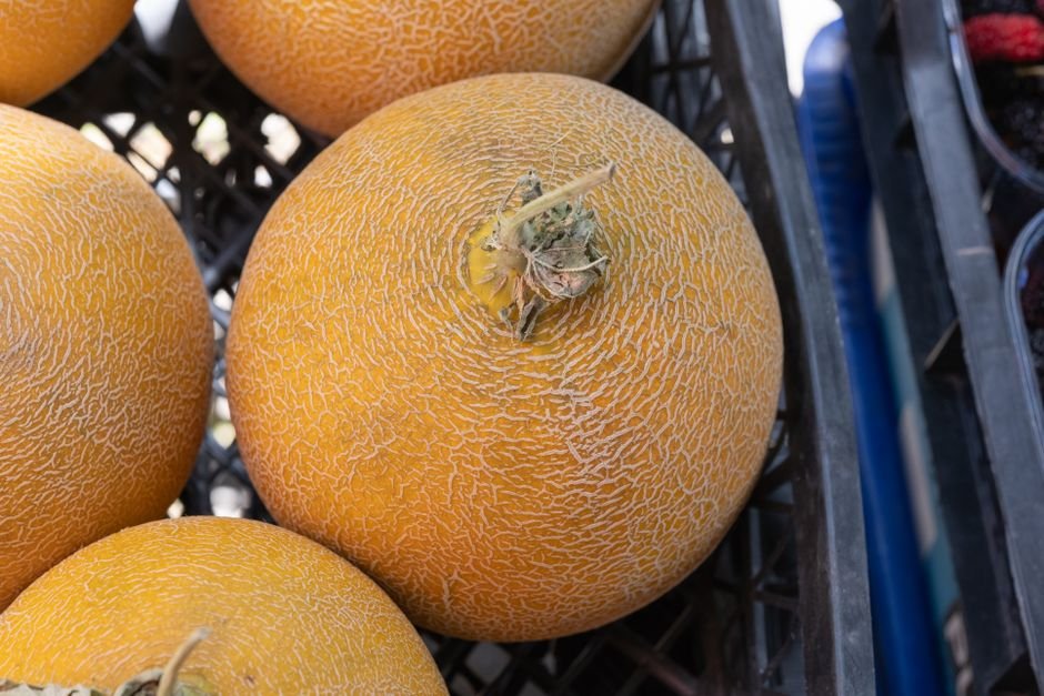 Cantaloupe nutrition facts