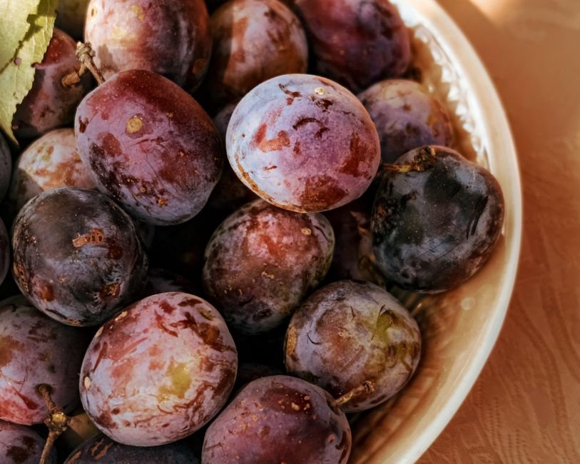ripe purple plum