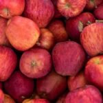 Apple nutrition facts