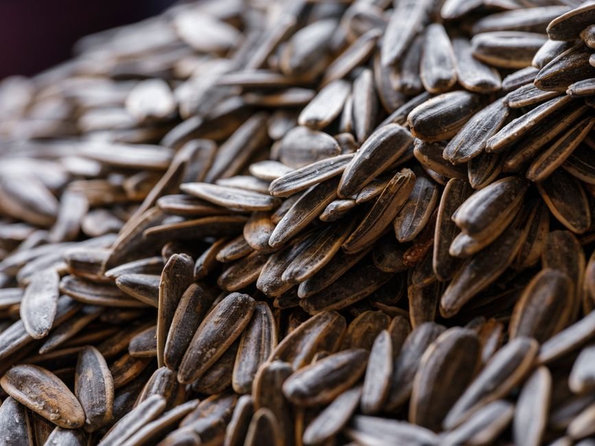 roasted salted pumpkin seeds