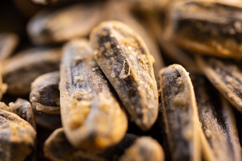 roasted sunflower seeds