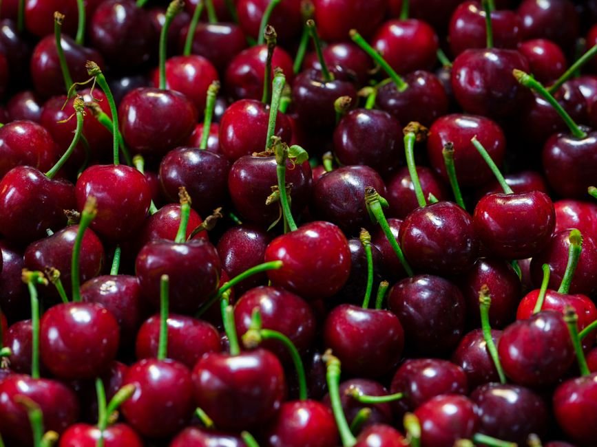 tart dark cherries