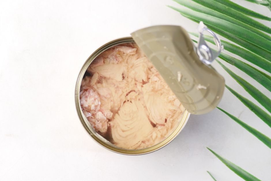 Canned tuna vs fresh salmon omega-3s