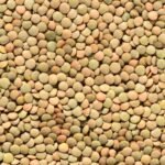 Can you eat legumes daily and still lose weight