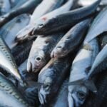 Mackerel nutrition facts