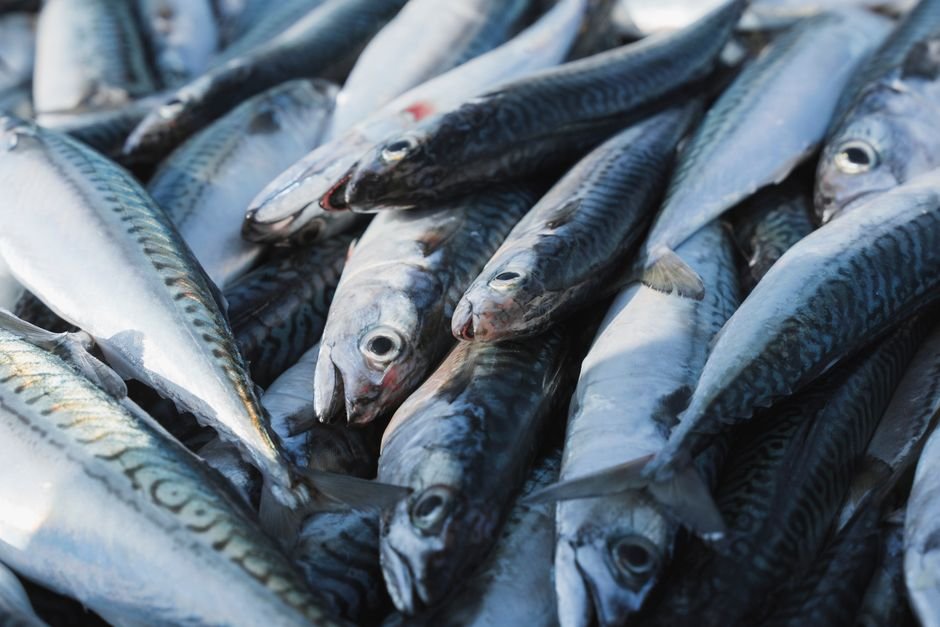 Mackerel nutrition facts