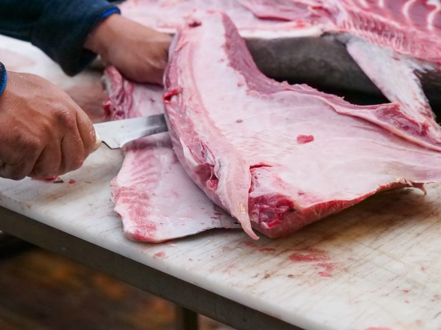 Tuna nutrition facts