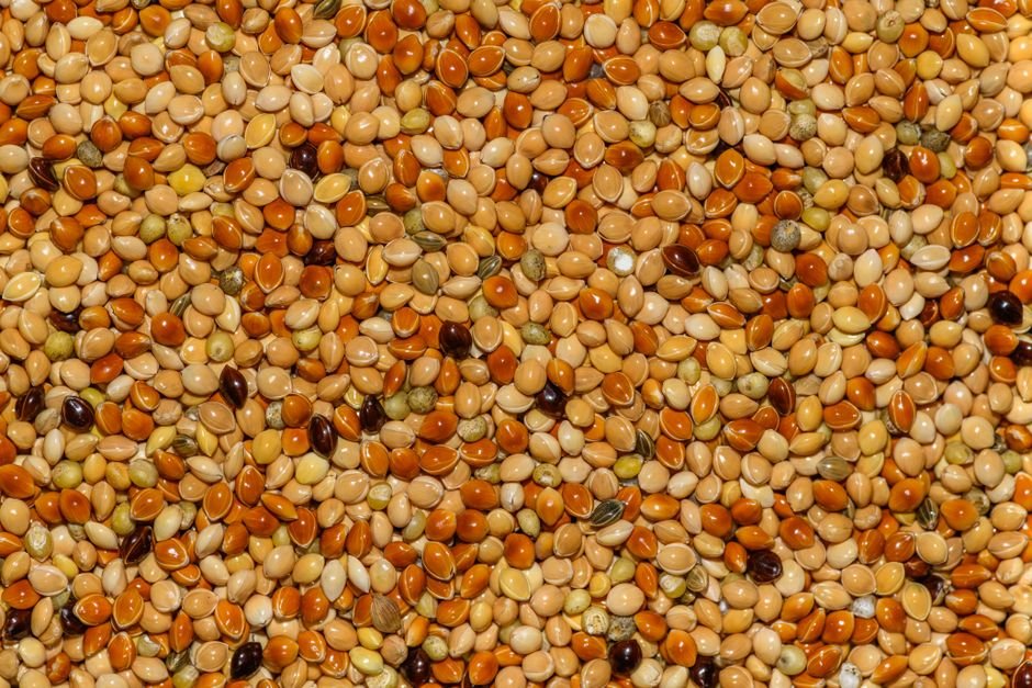 Quinoa nutrition facts